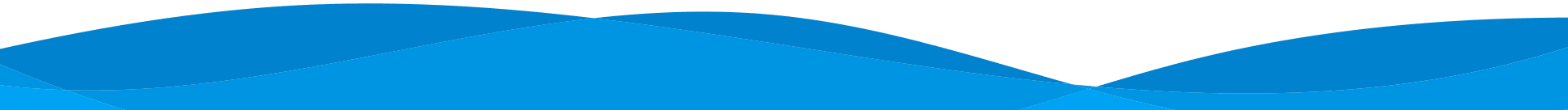 S1 Bg Bottom
